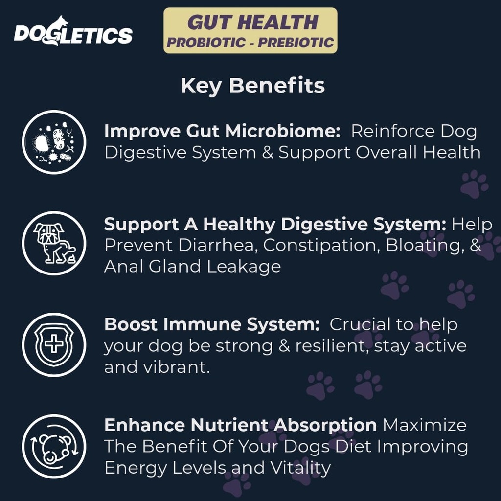 Gut Health Probiotic & Prebiotic - 90ct Support Stomach Microbiome, Verhindern Sie Verdauungsprobleme, Reduzieren Sie Anal-Gland-Probleme, Verbesserung der Immunfunktion und Gesamtenergie