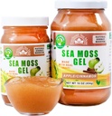 Wildcrafted Irish Sea Moss Gel | Made in USA | Rich in Vitamins & Minerals | Sea Moss Gel Raw | Integratore nutrizionale | Apple (16 oz)