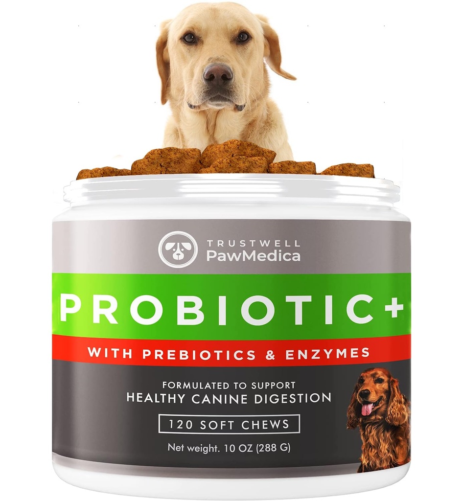 Probiotiques pour chiens PawMedica et enzymes digestives, probiotiques pour chiens fabriqués aux États-Unis, chips probiotiques pour chiens, prébiotiques et probiotique support digestif pour chiens, probiotiques traités - 120 chips probiotiques pour chiens