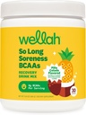 Wellah So Long Soreness BCAA Poudre (Pina Colada aromatisée) 30 portions - avec complexe d'hydratation