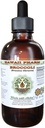 Brocoli Extrait liquide sans alcool, Brocoli biologique (Brassica Oleracea) Graine Glycérite Hawaii Pharm supplément naturel à base de plantes 2 oz