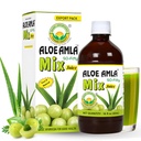 Acero di base Ayurveda + Succo di Aloe Vera – 16.23 Fl Oz (480ml) | Miscela di erbe 50-Fifty per l'immunità, la digestione e la salute della pelle | Amla & Aloe Blend | 100% naturale | Tonico ayurvedico giornaliero