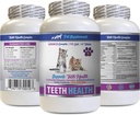 Bad Breath Katze Treats - CAT Teeth Health - Advanced Mund Health Complex - Immune Boost - Biotin für Katzen - 1 Flasche (60 Tabletten)