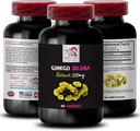 Kräuter antioxidative Eigenschaften - Ginkgo BILOBA Extrakt - Antioxidant-Rich-Ergänzung, Ginkgo biloba Blätter, Ginkgo biloba, Kräuterblatt Extrakt Vorteile, Natürliche Blattextrakt 1 Flasche 60 Kapseln