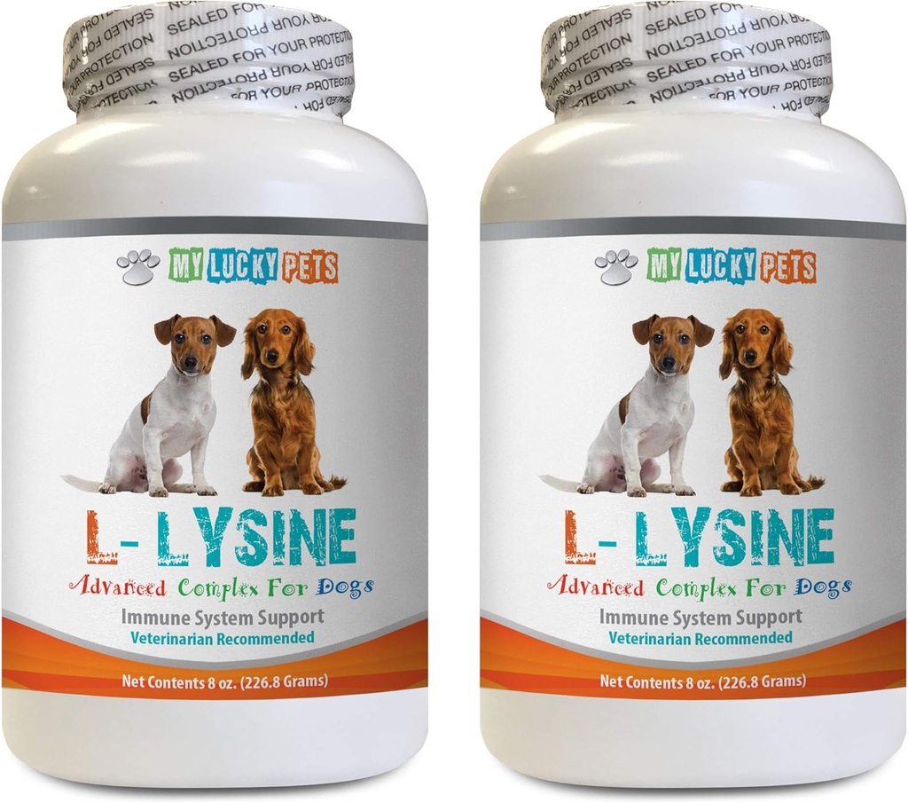 Dog Immune Treats - Hunde LYSINE Pulver - Pure Powder Form - Immunsystem Unterstützung - Vet empfohlen - L-Lysin für Hunde - 2 Flasche (16oz 453.6 Gramm)