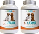 Dog Immune Treats - Hunde LYSINE Pulver - Pure Powder Form - Immunsystem Unterstützung - Vet empfohlen - L-Lysin für Hunde - 2 Flasche (16oz 453.6 Gramm)