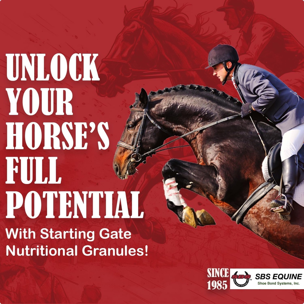 SBS Equine Start Gate Granules - Trattamento dell'ulcera di Stomach di cavallo & Ulcer Relief, Supplemento di cavalli Formula Scoop per l'alimentazione, Prep perfetto come supplemento di Hoof (5 Gallon)
