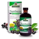 Nature's Answer Sambucus Elder Berry Extract Syrup 8 Unze ( 3 Pack ) | Tägliche Immununterstützung | Verpackt mit Antioxidantien | Familienfreundliche Flue Saison Defender
