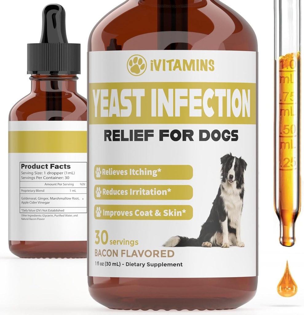 Trattamento naturale dell'infezione del lievito per cani | Aiuta a sostenere il sollievo dell'intestino e dell'infiammazione, & More | Trattamento dell'infezione dell'orecchio del cane | Rilievo dell'itch del cane | Trattamento dell'infezione dell'orecchio del cane | (2 Bacon del pacchetto)