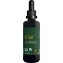 Global Healing Center - Organic Tulsi (Holy Basil Leaf Extract) Vegan Liquid Supplement Drops (Organic Basil) - Bioverfügbare Kräuter für normale Stressreaktion, natürliche Energie und Immununterstützung
