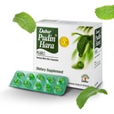 Dabur Pudin Hara Pearls - Supplementi quotidiani di cura per gli uomini e le donne, aiuta i sintomi di abbattimento di Bloating, acidità, flatulenza e indigestione per la salute digestiva e di fegato, 100 conteggio (Pack of 10)