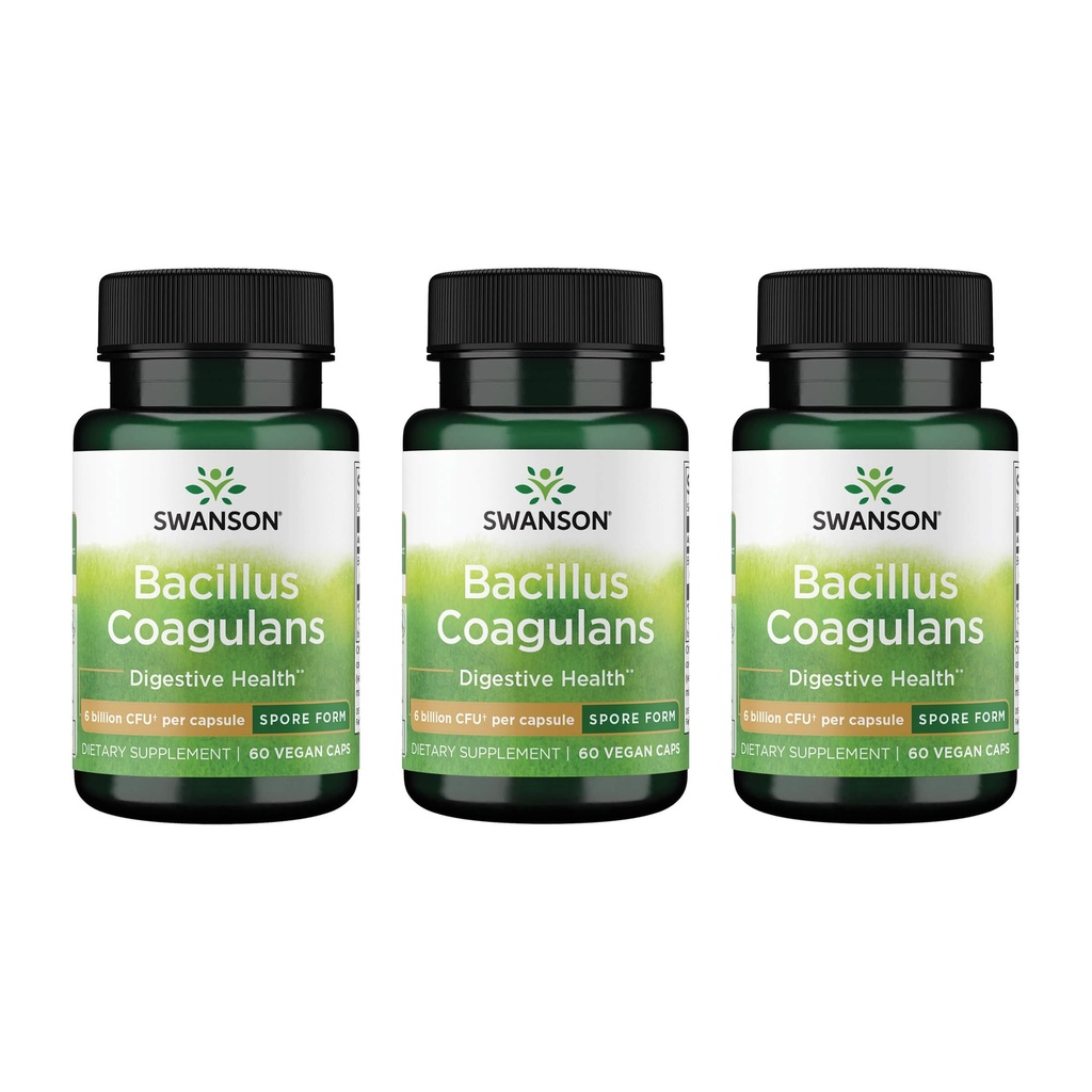 Swanson Bacillus Coagulans - Natürliche probiotische Ergänzung Unterstützung Verdauungsgesundheit w/ 6 Billion CFU - Mai Unterstützung GI & Gesamtgut Gesundheit - (60 Veggie Kapseln) 3 Pack
