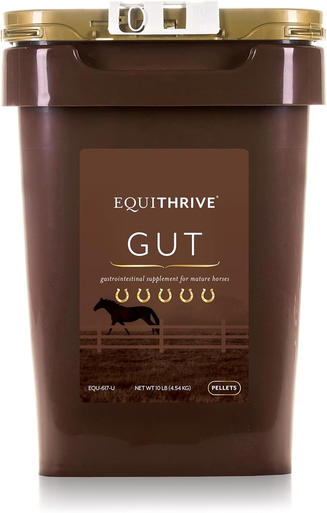 Pellet Equithrive di Gut di Cavallo con Probiotici, Polvere di Psyllium Husk, Bicarbonato di sodio e 3 acidi grassi Omega, Supplemento di supporto digestivo per cavalli, 10 lbs