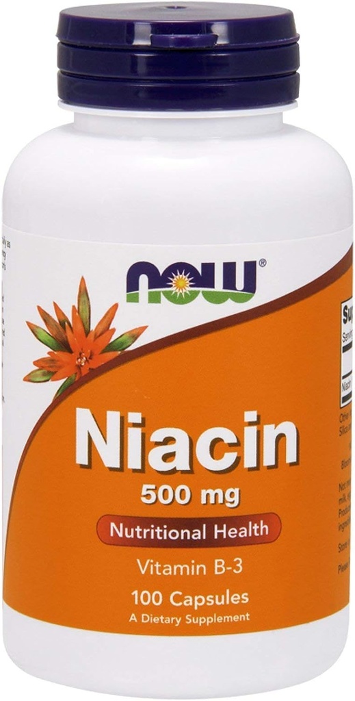 JETZT Lebensmittel - Niacin Vitamin B-3 500 mg. - 100 Kapseln (Multi-Pack)
