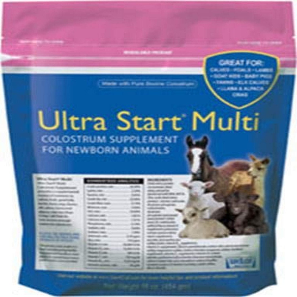 Supplément Colostrum pour Cheval