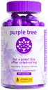 lila baum post-Celebration Wellness Supplement | Liposomal Dihydromyricetin (DHM), L-Glutathione, Milchdistel für Leberunterstützung & Hydration | Elektrolyte, B Vitamine, Willow Bark | 60 Kapseln