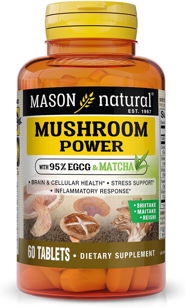 MASON NATURAL Pilzkraft mit 95% EGCG und Matcha, Pflanzenbasierte Formel mit Shiitake, Maitake, Reishi, 60 Tabletten