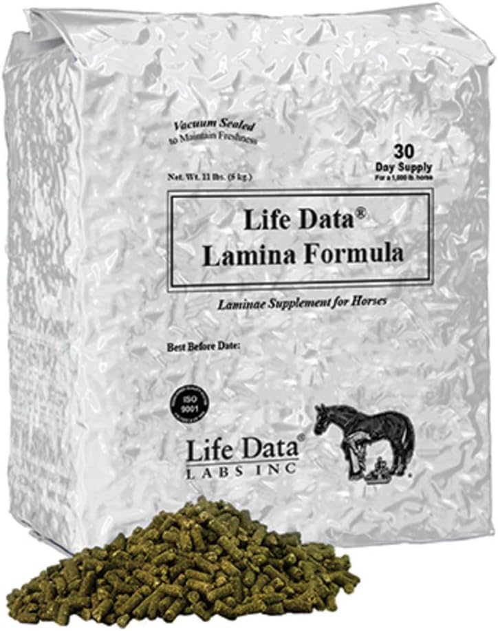 Lebensdaten Labs Lamina Formel