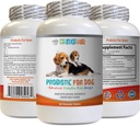 probiotici per cani masticabili - Dog PROBIOTICS - Bad Breath and Passing Gas Solution - Oral Health - fos Formula - 1 Bottiglia (60 Trattati)