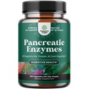Natura Artigianato Pancreatin Enzimi Digestivi per la Salute Digestiva - Enzimi Pancreatici per gli Umani con Carb Grasso e Proteine Donne e Uomini - Protease Amylase & Lipase Digestione -120ct