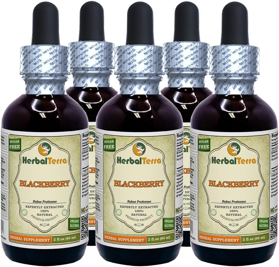 BlackBerry (Rubus fruticosus) Teinture, feuilles séchées organiques Extrait liquide (Marque: HerbalTerra, Fièrement fabriqué aux États-Unis) 5x2 fl.oz (5x60 ml)