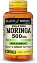 MASON NATURAL Moringa 500 mg - soutient le métabolisme de l'énergie et la réponse inflammatoire, complément à base de plantes antioxydantes, 60 capsules