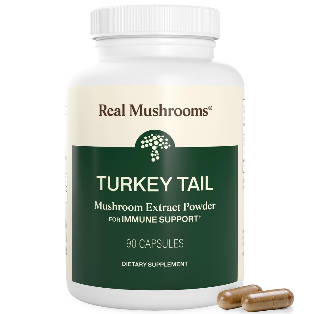 Echte Pilze Türkei Tail Capsules – Bio Pilzextrakt für Wellness & Daily Rhythm – Vegan, Non-GMO, keine Füllstoffe Türkei Tail Extract – 90 Count Mushroom Supplement