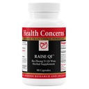 Gesundheitsbelange Raise Qi – Energie- und Immunsystemunterstützung – Bu Zhong Yi Qi Wan Formula – Astragalus, Ginseng & Dong Quai Kräuterergänzung für Schwäche, Verdauung & Yang Qi Balance – 90 Kapseln