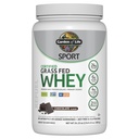 Cioccolato della proteina del siero di sport del giardino di vita, proteine del siero dell'erba Premium Isolate Plus Probiotici per la salute del sistema immunitario, proteine 24g, non OGM, senza glutine, lavorate a freddo - 20 porzioni