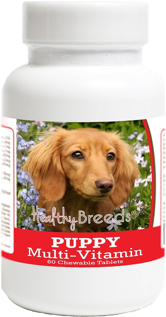 Gesunde Rassen Dachshund Hund Multivitamin Tablet 60 Zähler