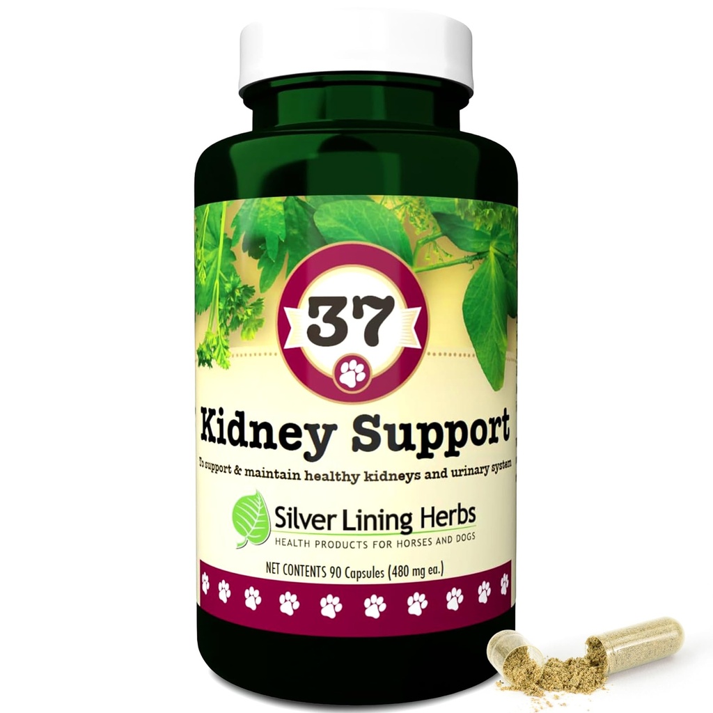 Silber Futter 37 Canine Kidney Support - Kräuter Dog Supplement - Natürliche Unterstützung Mischung für normale Kidney & Bladder Funktion - 90 Kapseln