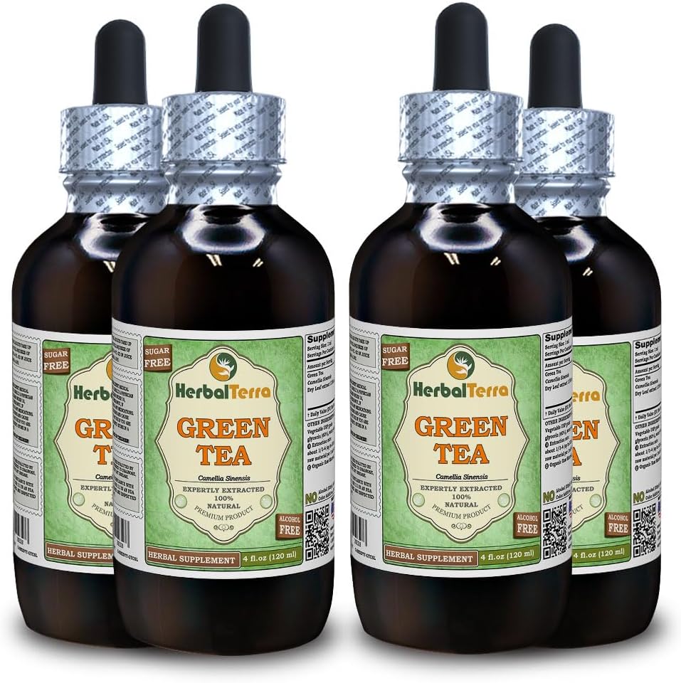 Thé vert (Camellia Sinensis) Glycérite, feuilles séchées organiques Extrait liquide sans alcool (marque : HerbalTerra, fièrement fabriqué aux États-Unis) 4x4 fl.oz (4x120 ml)