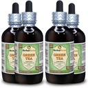 Thé vert (Camellia Sinensis) Glycérite, feuilles séchées organiques Extrait liquide sans alcool (marque : HerbalTerra, fièrement fabriqué aux États-Unis) 4x4 fl.oz (4x120 ml)