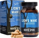 North Spore Capsules d'extraits de champignons de la Mane biologique de Lion