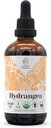 Hydrangea USDA Organic Alcohol-Free Extract | Nahrungsergänzung, Hochfeste Tinktur | Natürliche zertifizierte organische Hydrangea (Hydrangea arborescens) Getrocknete Wurzel (4 oz)