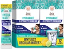 GuruNanda Hydramate Hydration Support Drink Mix - Electrolyte Powder Packets for Dehydration, Exercise & Energy - Nessun Addobbinamento aggiuntivo, Non OGM, Natural Lemon Lime Flavor - 12 Count (0.56 oz Ogni)
