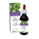 Naturalma Lemon Baume (Melissa officinalis) Teinture sans alcool - 4 fl oz Extrait liquide dans les gouttes - Supplément à base de plantes - Vegan