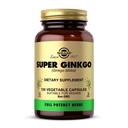 Solgar Super Ginkgo, 120 pflanzliche Kapseln - Volle Potenz (FP) - Antioxidant & Nervous System Unterstützung - Gehirngesundheit - Non-GMO, Vegan, Glutenfrei, Dairy Free, Kosher - 120 Servierungen