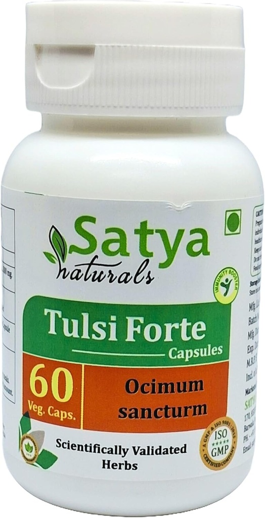 Tulsi Forte Kapseln 500 mg. 60 Veg. Kapsel | Basil (Ocimum Sanctum) Extrakt Kapseln für Männer und Frauen | Ayurvedische Kräuterergänzung / Heilmittel | 10:1 Forte (1 Flasche 60 Kapseln)
