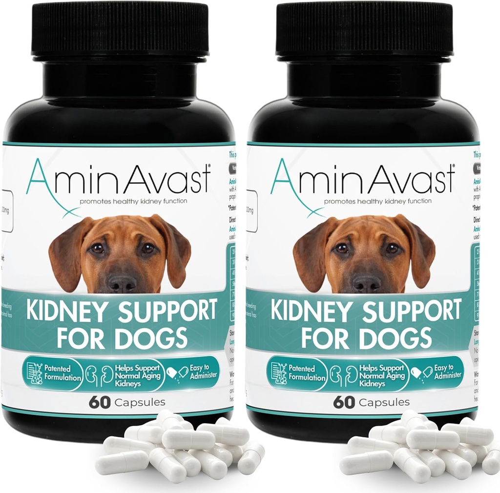 AminAvast Kidney Support Supplemento per cani, 1000mg 2-Pack - Promuove la funzione del rene naturale - Aids in salute e vitalità dei reni anziani - facilmente amministrato - 60 capsule di spolverata