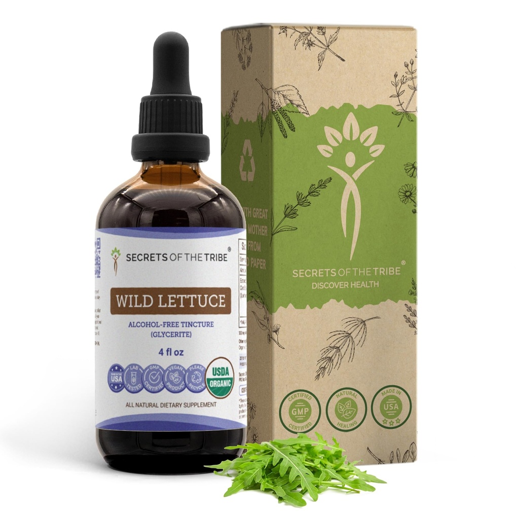 Geheimnisse des Tribe Wild Lettuce Tincture Alcohol-Free Extract, USDA Organic Wild Lettuce (Lactuca virosa) Getrocknete Kräuter (4 FL OZ)