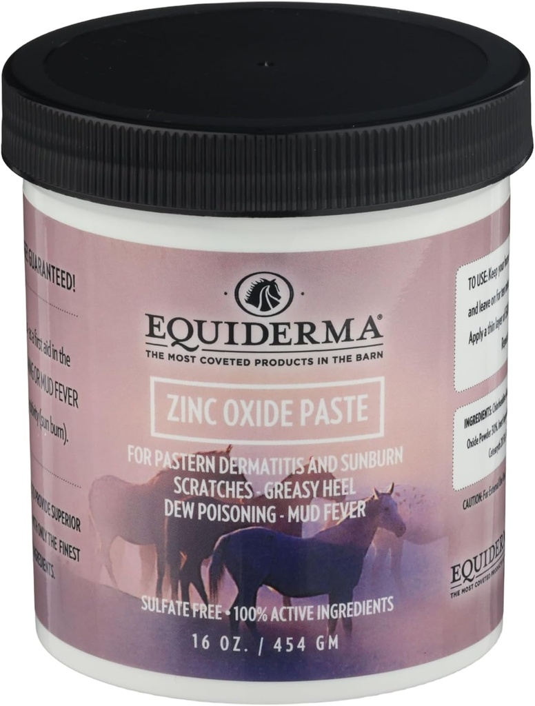 Equiderma Zinkoxid Paste für Pferde, 16 oz | Behandlung für Pastern Dermatitis, Scratches & Sunburn | Schutzwasserbeständige Barriere & UV Shield | Equine Hautbehandlung