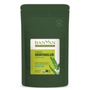 Banyan Botanicals Bhumyamalaki Polvere – Organic Liver Health Supplement* – Phyllanthus spp. – per la disintossicazione naturale e la pulizia del fegato* – 1/2 Pound – Non OGM Sostenibilmente Sorgente Vegan