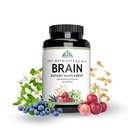 Il cervello dei sistemi di salute ottimali | La maggior parte dei nootropici completi + Enzyme Delivery | 700 mg di miscela di neuroenhancment scientifico | Boost Mood, Memory & Focus | 90 capsule