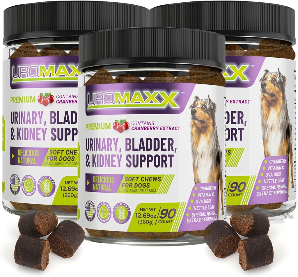 Trattamento dell'infezione del tratto urinario del cane, supporto della vescica e del rene per cani, cura potente dell'animale domestico, chews morbide naturali con mirtillo e glucosamina, fatto negli Stati Uniti, sapore di pollo, 90 conte, 3 confezione
