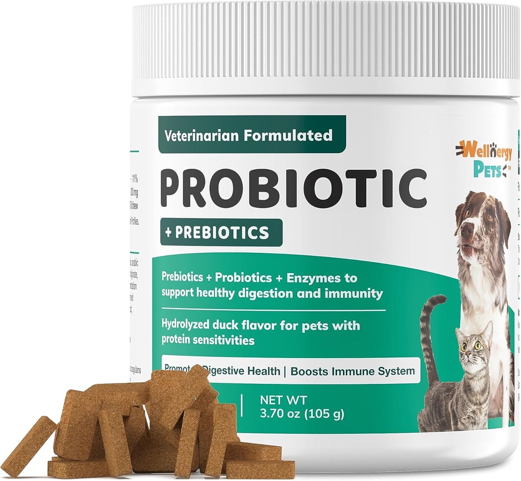Wellnergy Daily Probiotics & Prebiotics Soft Chew for Dogs & Cats - Supporto digestivo per diarrea, costipazione, upset Stomach, Indigestion & Gas - Aiuta la digestione, Allergy Skin & Immune Health 70ct
