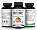 Sibirische Grün 5 Pilze Lions Mane Chaga Shiitake Maitake Reishi - 60 Kapseln