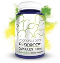 Nootropics Depot Cognance Enhanced Bacopa Capsules | 100mg | 10% Ebelin Lactone | Bacopa monnieri | Mood, Memoria, & 5-HT2A Attivazione, 180 Conte (Pack of 1)