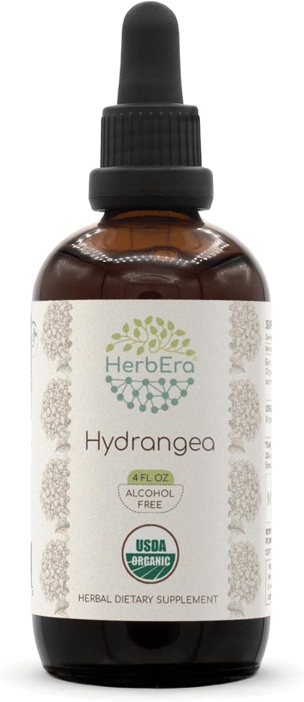 HerbEra Hydrangea B120 USDA Organic Tincture | Alkoholfreier Extrakt, hochkarätige Kräutertropfen | Certified Organic Hydrangea (Hydrangea arborescens) Getrocknete Wurzel (4 oz)