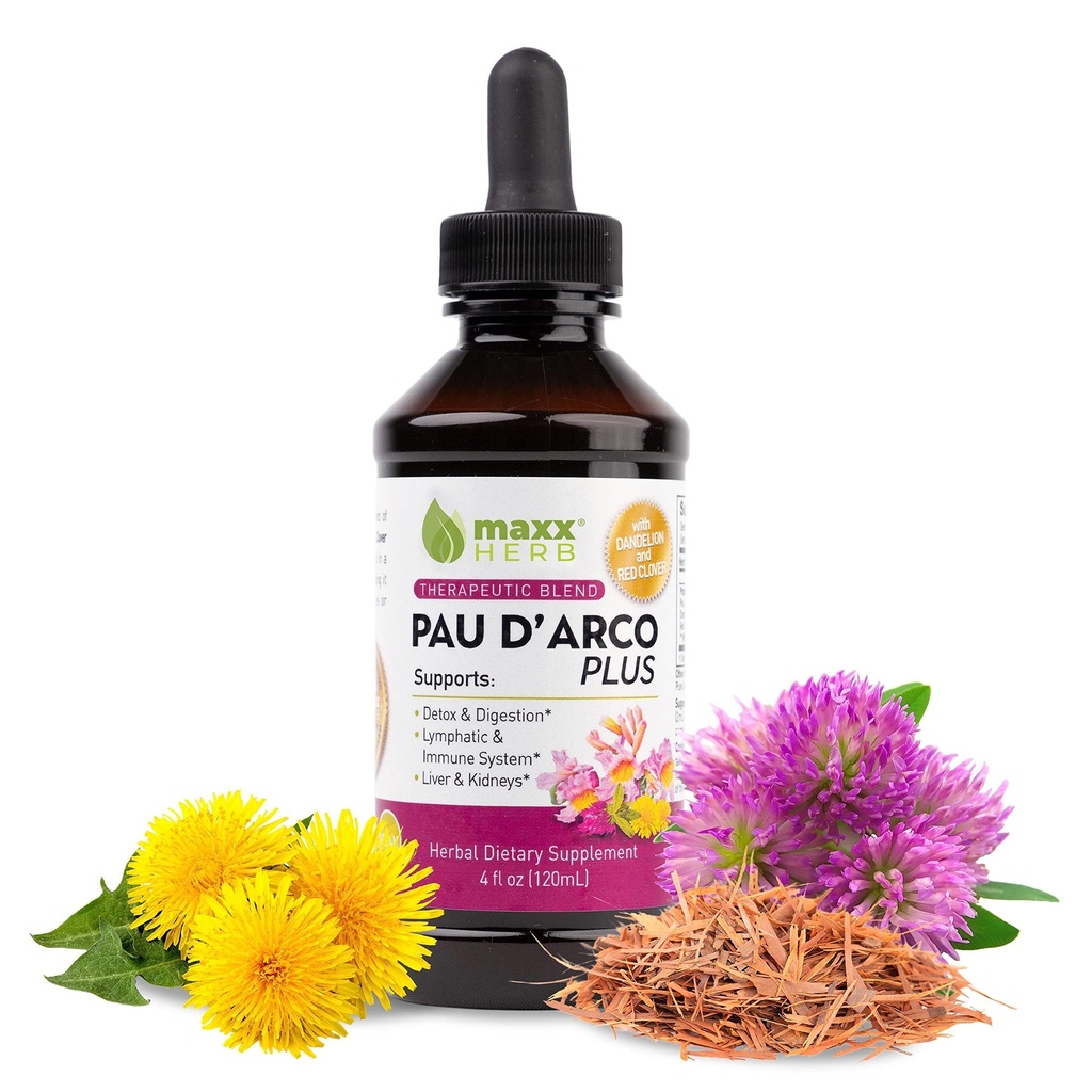 Extrait d'Arco Maxx Herb PAU avec mélange thérapeutique de racine de dandelion et de trèfle rouge, Absorbe de teinture de darco PAU mieux que le thé ou les capsules Taheebo, pour le soutien immunitaire - 4 Oz bouteille (60 portions)